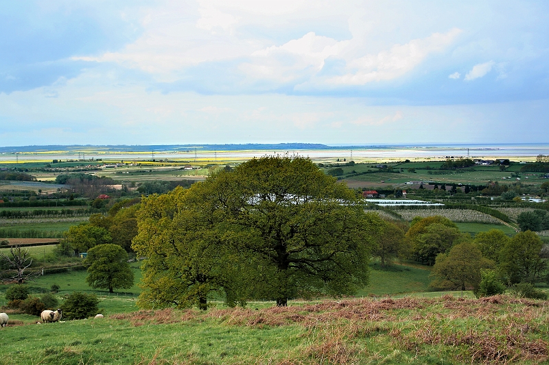 NZ Bank towards Sheppey 02.jpg